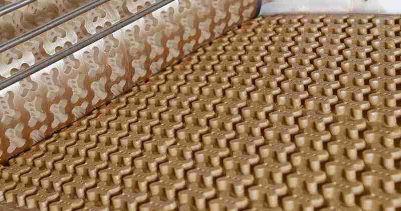 biscuit for pets | pet food biscuit production line