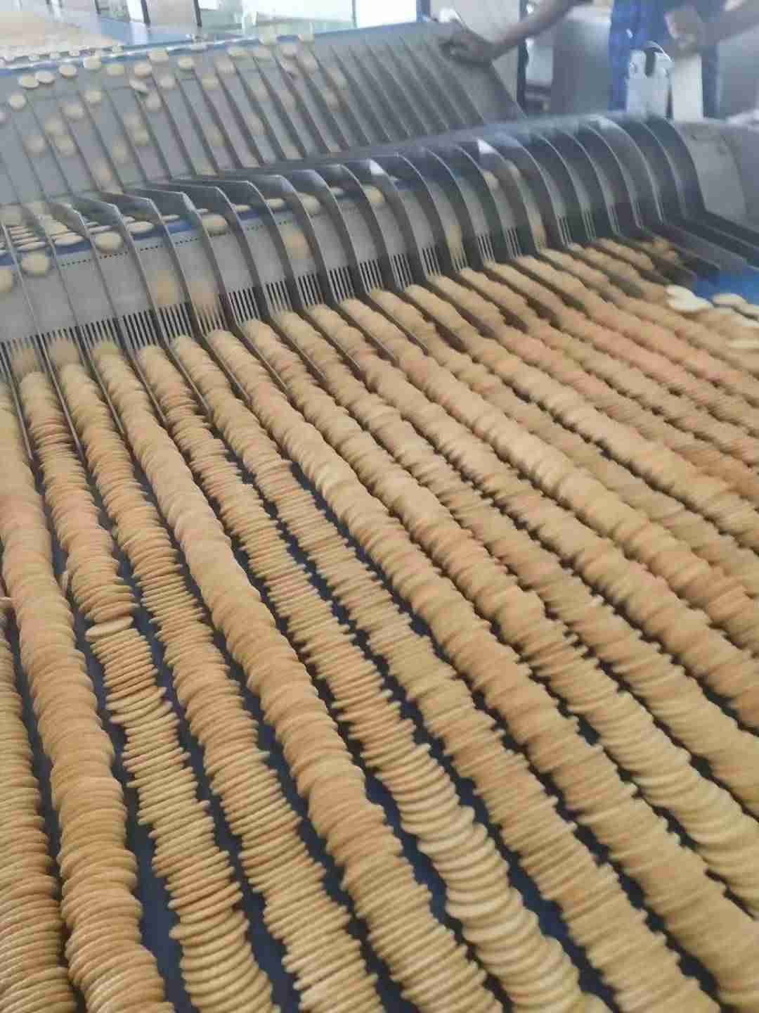 Automatic biscuit production line Factory JY Machine