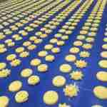cookie production line | cookie making machine