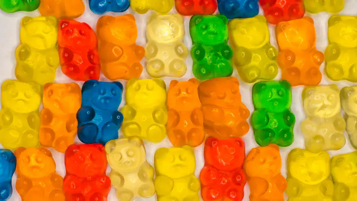 Gummy Candy Machine Types
