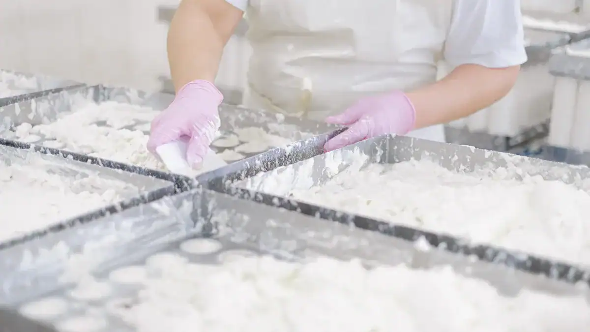 How automated cake production lines work in modern bakeries