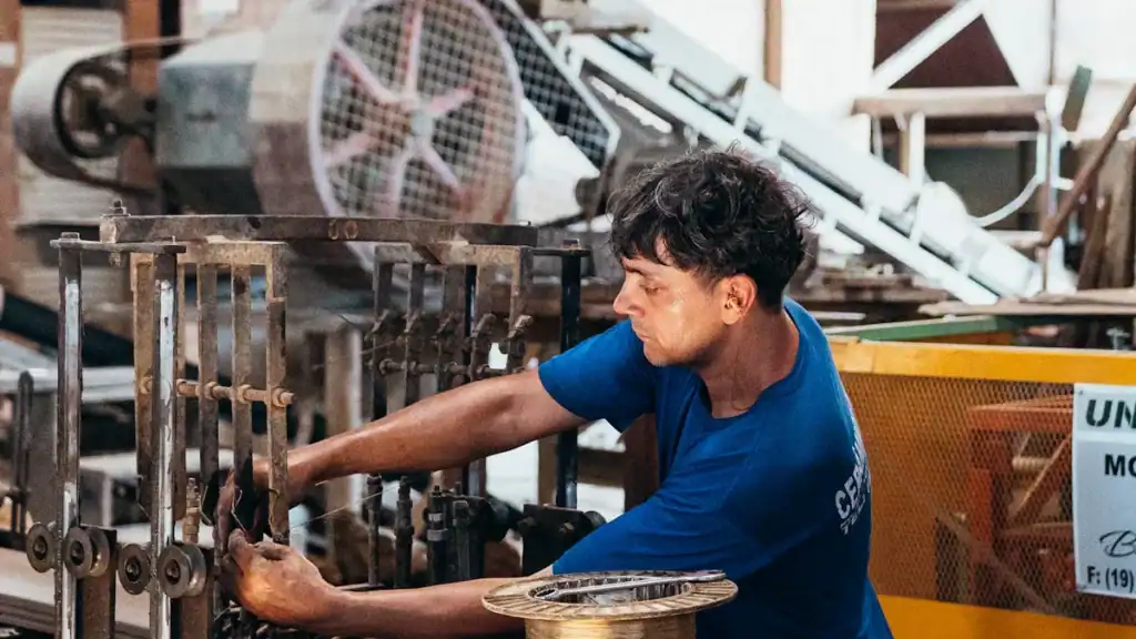 What Is a Biscuit Machine?