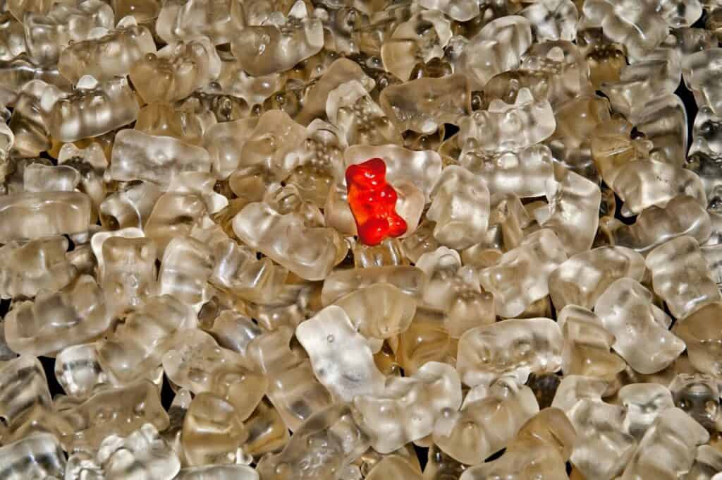 gummy bear, gummi bear, bear, sweetness, multicoloured, coloured, colorful, gelatin, food, gummy bears, nibble, little bear, yummy, cute, gummy bear, gummy bear, gummy bear, gummy bear, gummy bear, bear, gummy bears, gummy bears, gummy bears