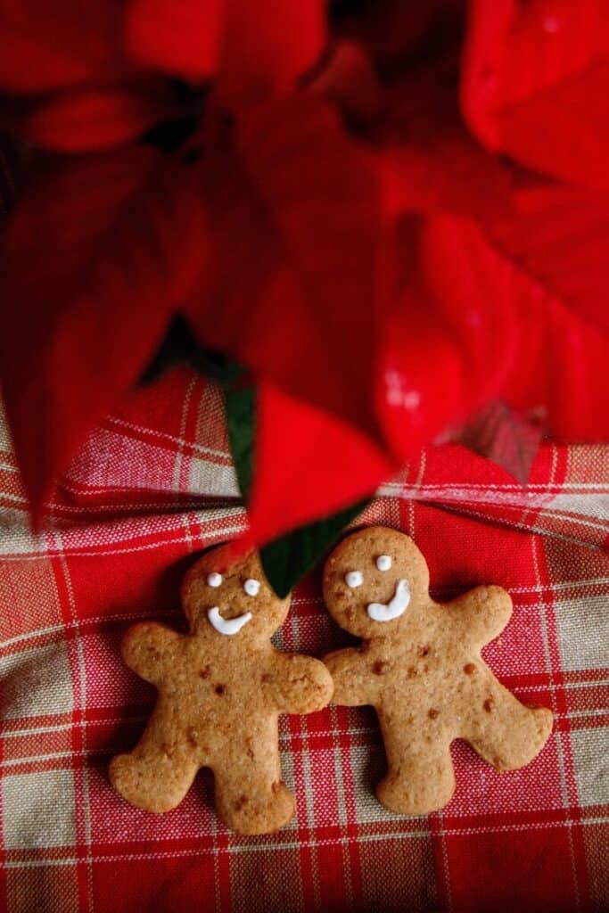 biscuit, cake, food, dessert, flower background, to taste, christmas, holidays, smile, fellow, winter, flower wallpaper, sugar factory, nature, red, friends, friendship, family, beautiful flowers, meal, eat, love, flower, plant, tea towel, heart